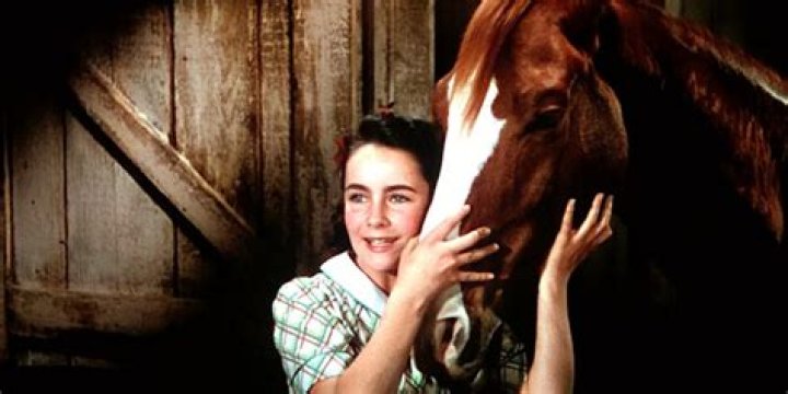 1944 Elizabeth Taylor movie about a horse that a 12-year-old girl trains to race: 2 wds.