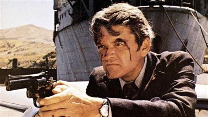 1973 action movie where Hal Holbrook played a police lieutenant: 2 wds.