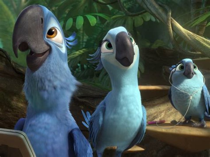 2011 animated movie about a bird named Blu