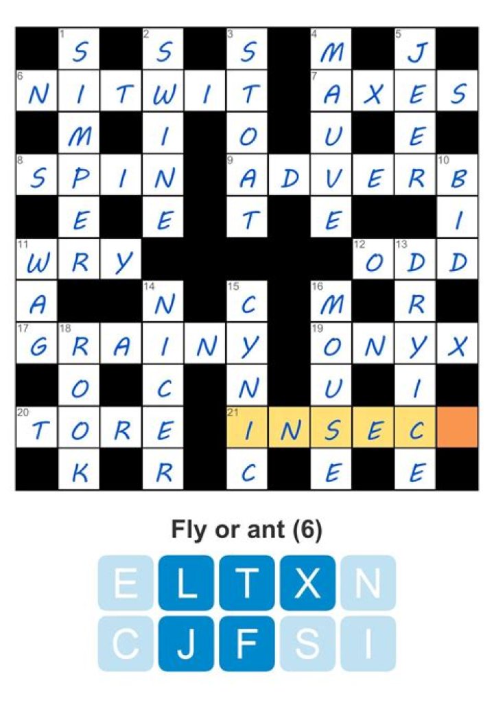 3 letters Blunder Puzzle Page Crossword Clue Answer