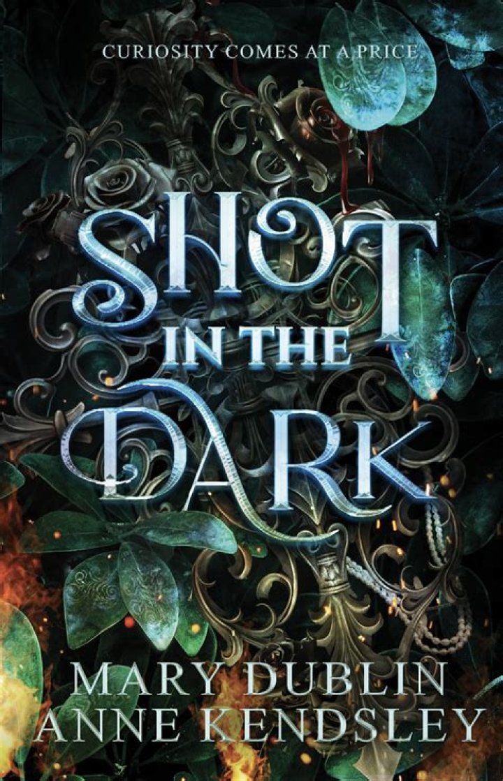 ___ a guess (take a shot in the dark)