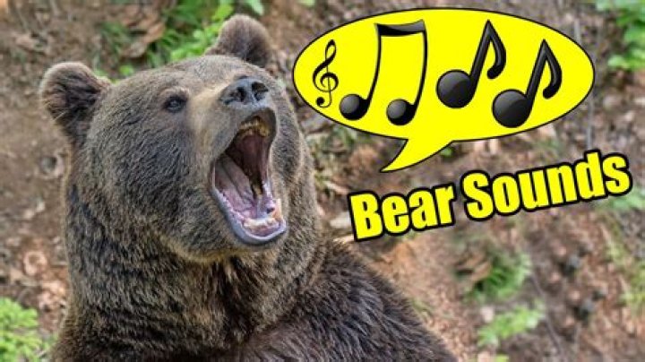 Animal mentioned in a Sound of Music song