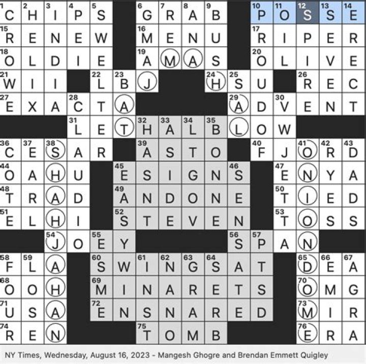 Architectural features depicted by this puzzle's vertical circled letters NYT Crossword Clue