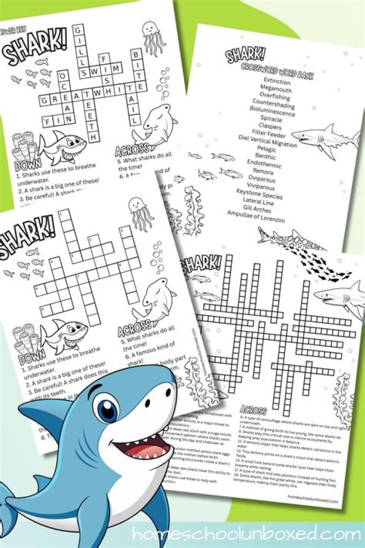 Baby shark Crossword Clue