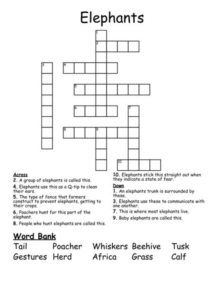 Big feature for an elephant Crossword Clue Daily Themed 3 letters Answer