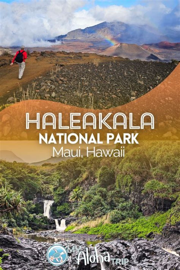 Bird seen on the drive to Haleakala National Park NYT Crossword Clue