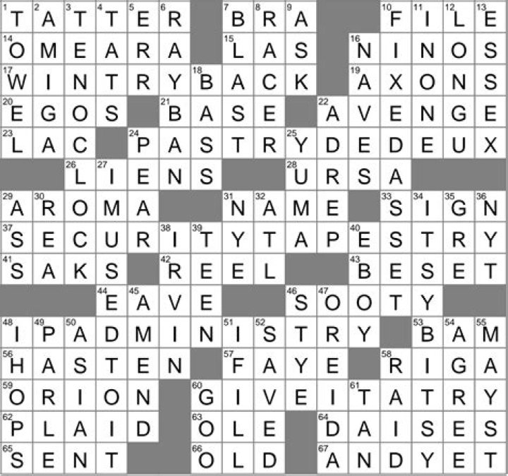 Boob Crossword Clue LA Times