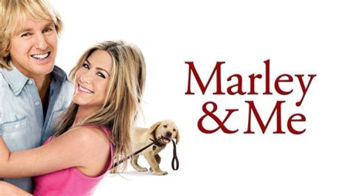 Breed in Marley & Me for short