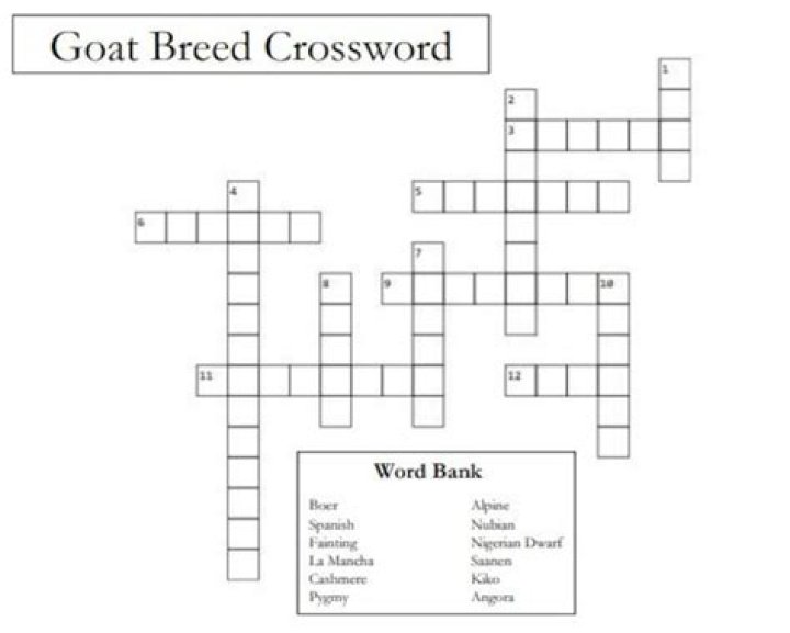 Breed of goat Crossword Clue Puzzle Page answers