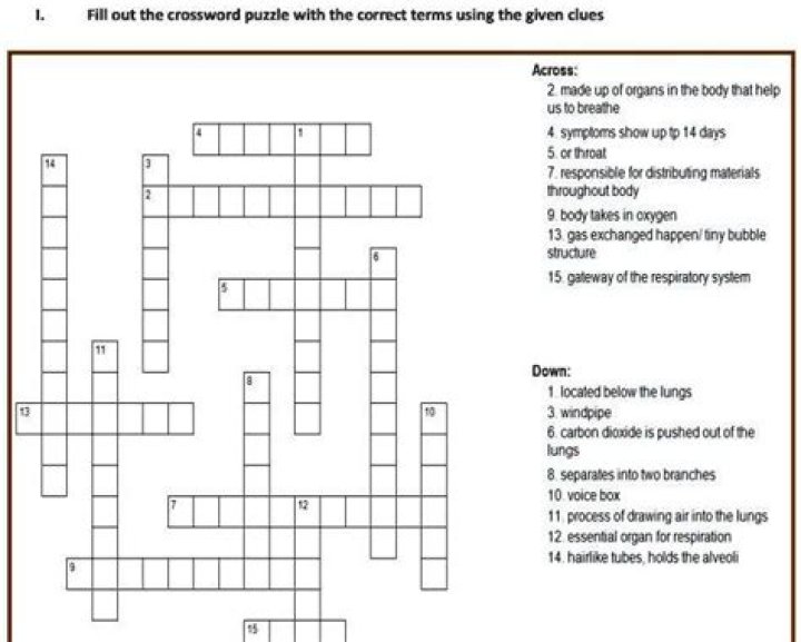 Chance to get a lot off your chest? Crossword Clue Universal