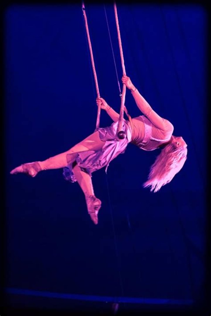 Circus swing installed high above a net
