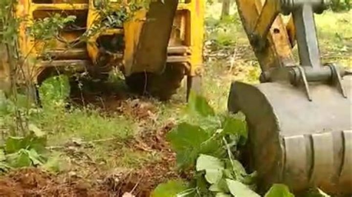 Clearing unwanted plants