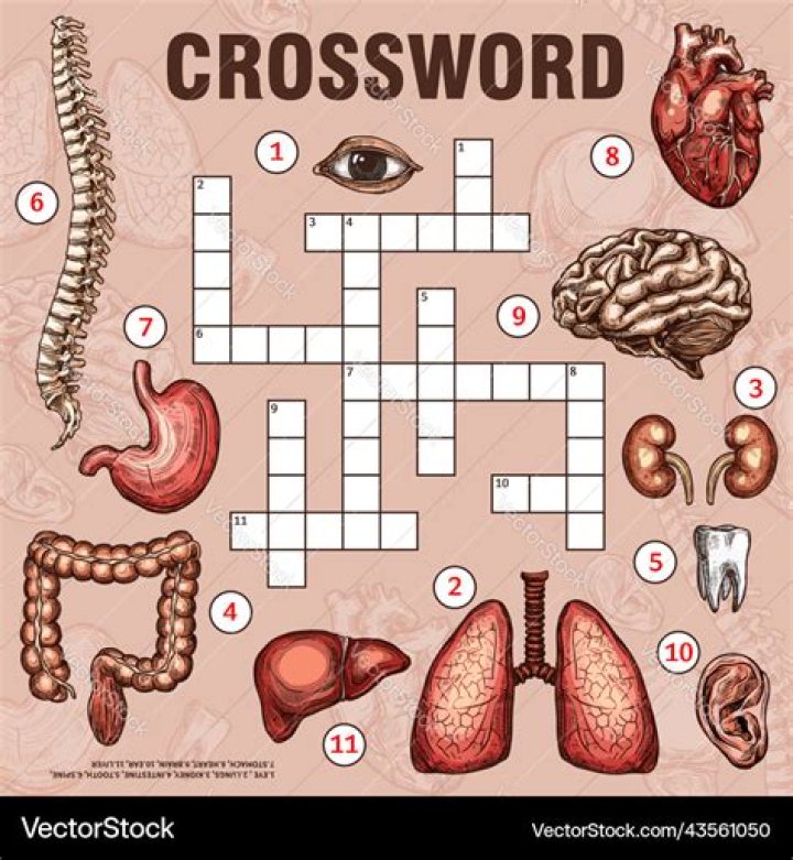 Cochlea's organ Crossword Clue Daily Themed Crossword