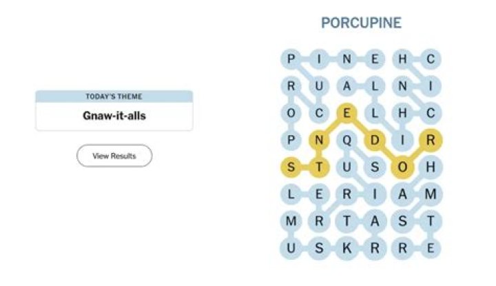 Court sport grp. Crossword Clue