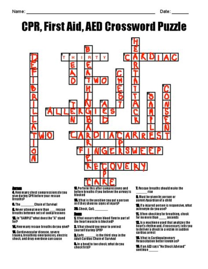 CPR experts NYT Crossword Clue Answer 4 letters