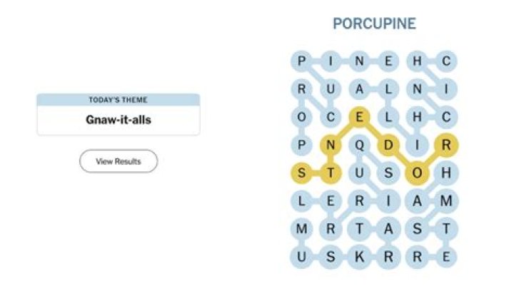 Drinks like a dog NYT Crossword Clue