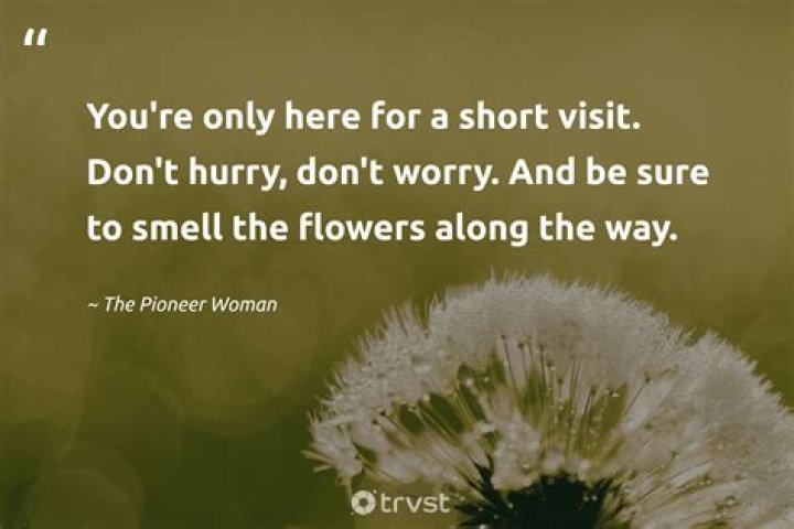 Drop by for a short visit: 2 wds.