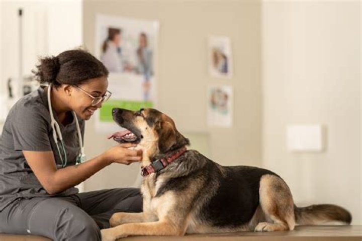 Family member whose doctor is a veterinarian