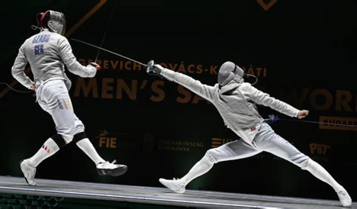 Fencer's sword