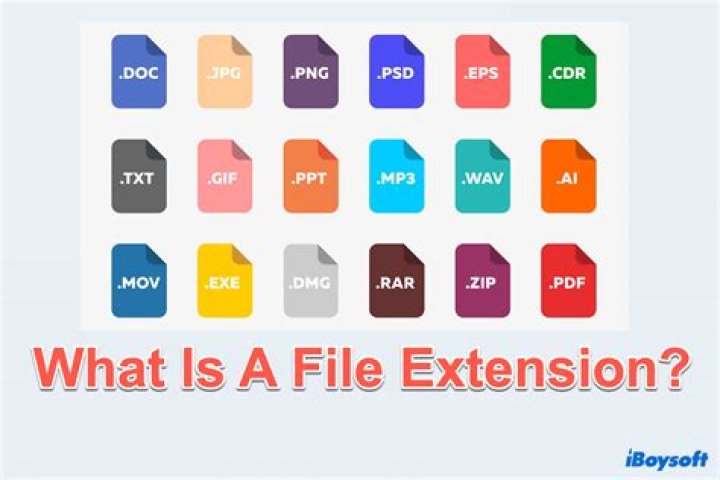 File extension for text or graphics: Abbr.