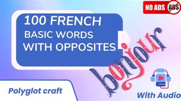 French opposite of oui