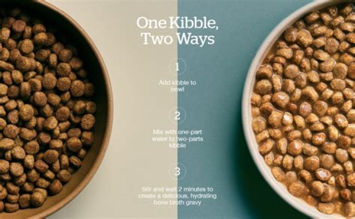 Gave kibble to Fido say