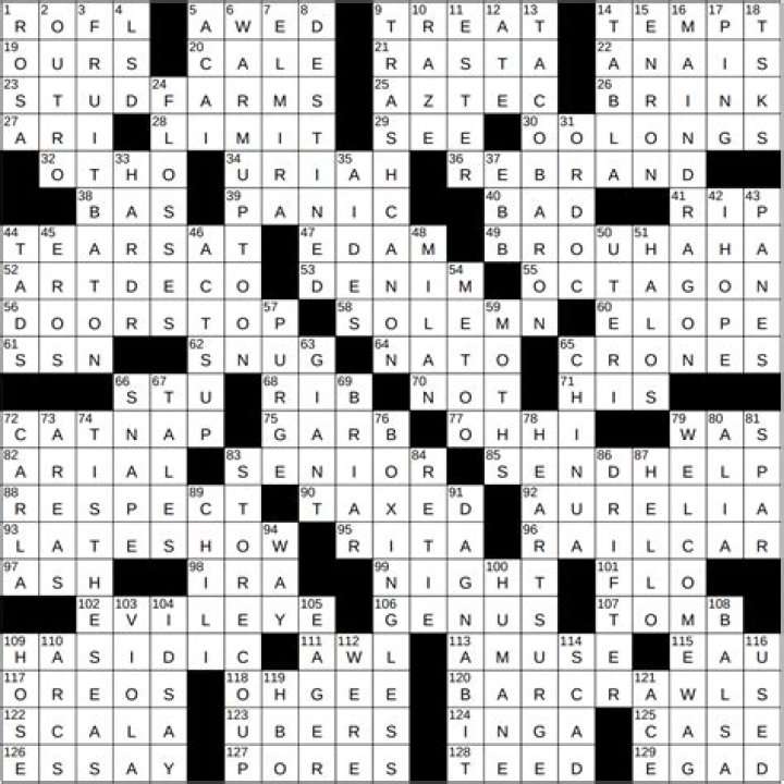 Geek Squad members Crossword Clue NYT