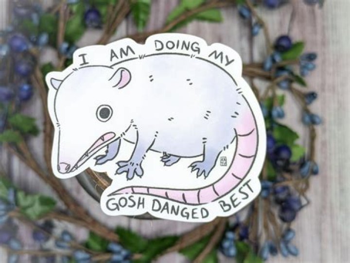 Gosh-danged