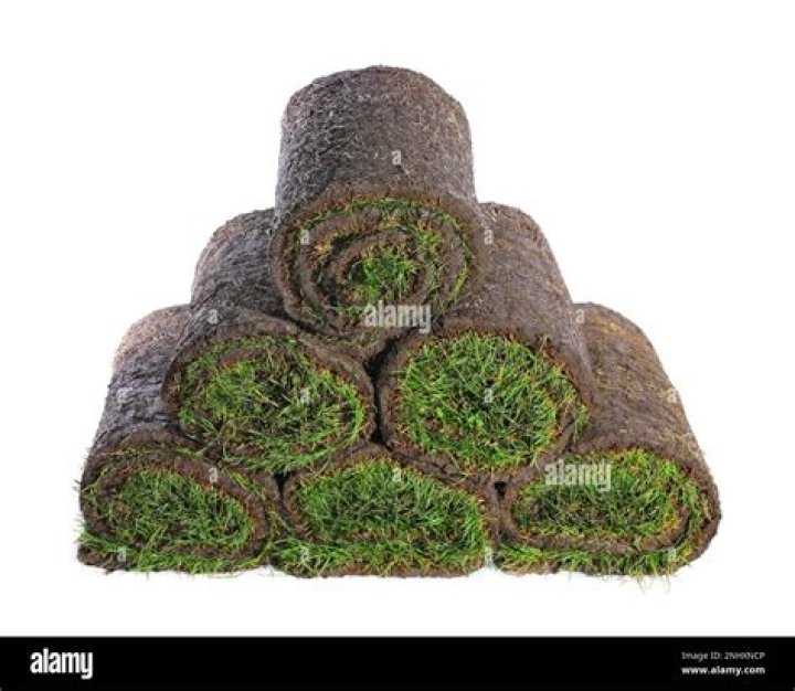 Grass that is sold in rolls