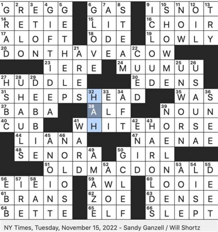 Had a cow NYT Crossword Clue