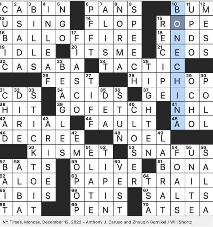 High flier Crossword Clue