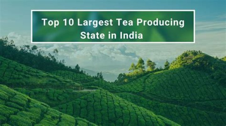 Indian state that’s the world’s largest tea-growing region Crossword Clue NYT