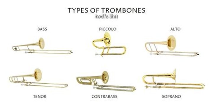 Instrument with tenor and alto varieties for short