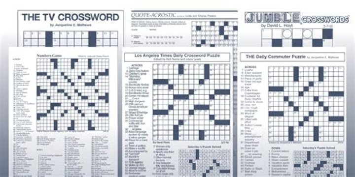 Item in red ink Daily Commuter Crossword Puzzle Answers
