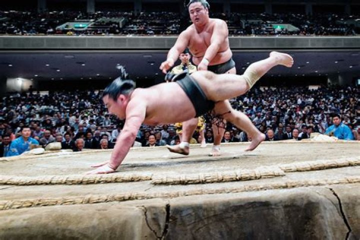 Japanese wrestling form with many rituals