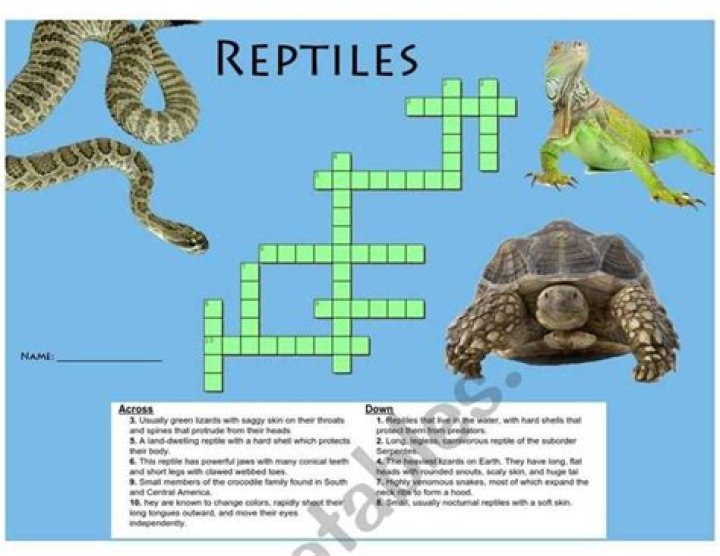 LA Times Large Central American reptile Crossword Clue Answers with 6 letters