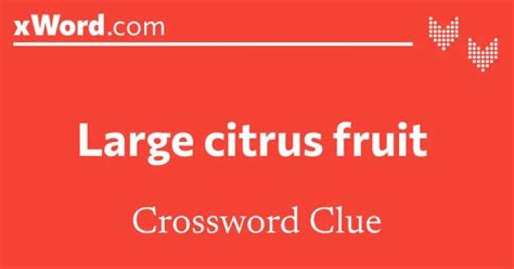 Large citrus fruit WSJ Crossword Clue, Wall Street 6 letters Answer