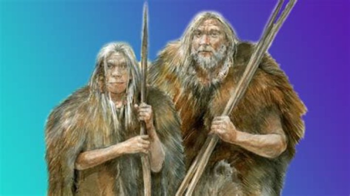 Live to a ___ old age