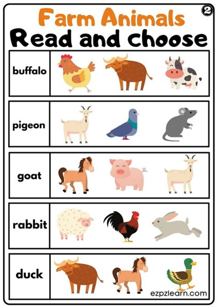 Looks after as young children or farm animals