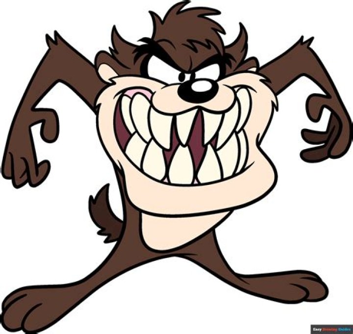 Looney Tunes “devil,” for short Wall Street Crossword Clue