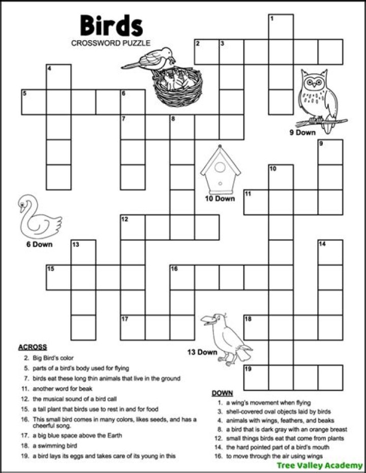 Made an owl sound Crossword Clue USA Today