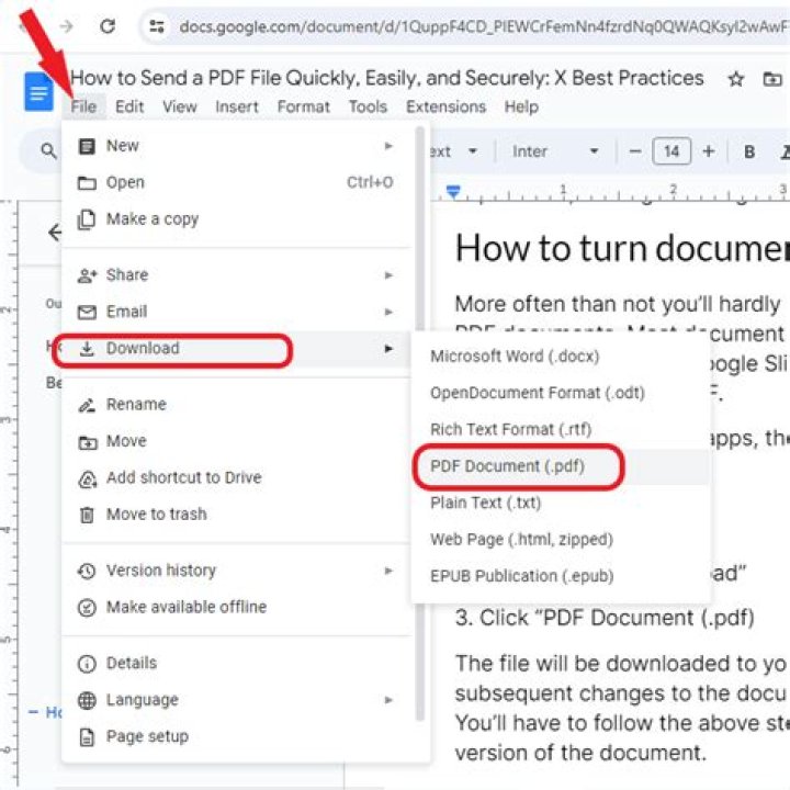 Make a document into a PDF say