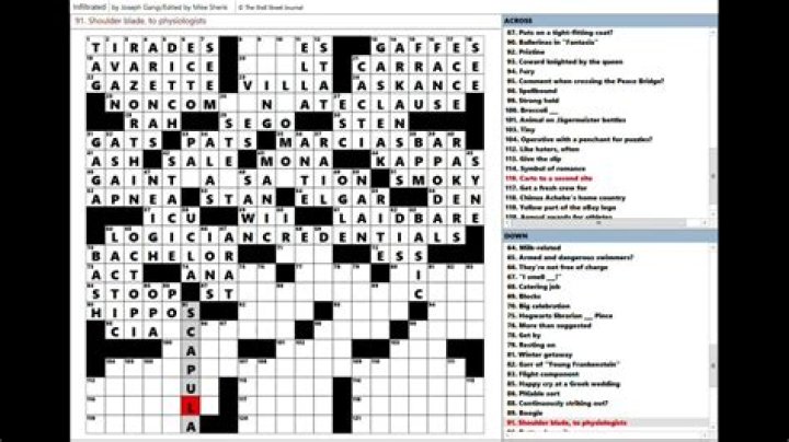 Many a John le Carré character WSJ Crossword Clue, Wall Street 3 letters Answer