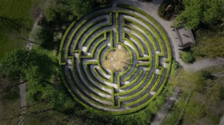 ___ maze (labyrinth in a garden)