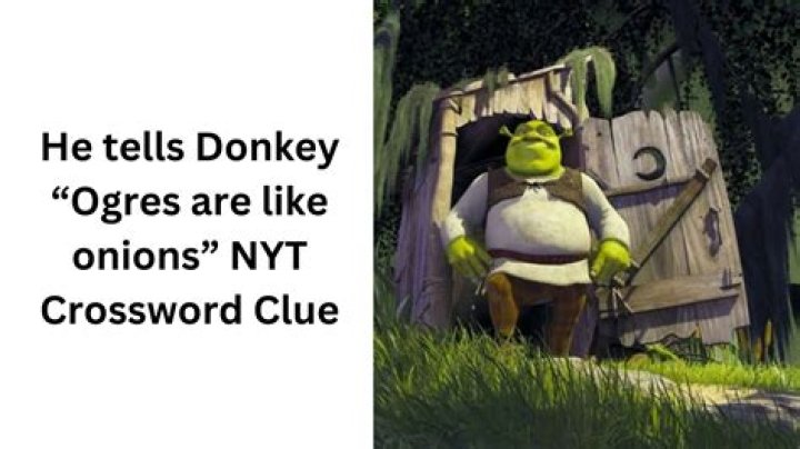 Neigh : horse :: ___ : donkey NYT Crossword Clue