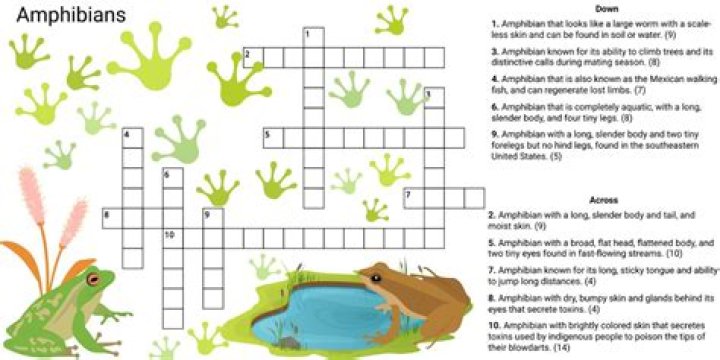 Newsday Muppet amphibian Crossword Puzzle Clue Answers
