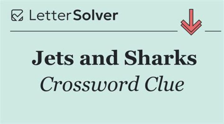 Newsday Org. with Jets and Sharks Crossword Clue Answer
