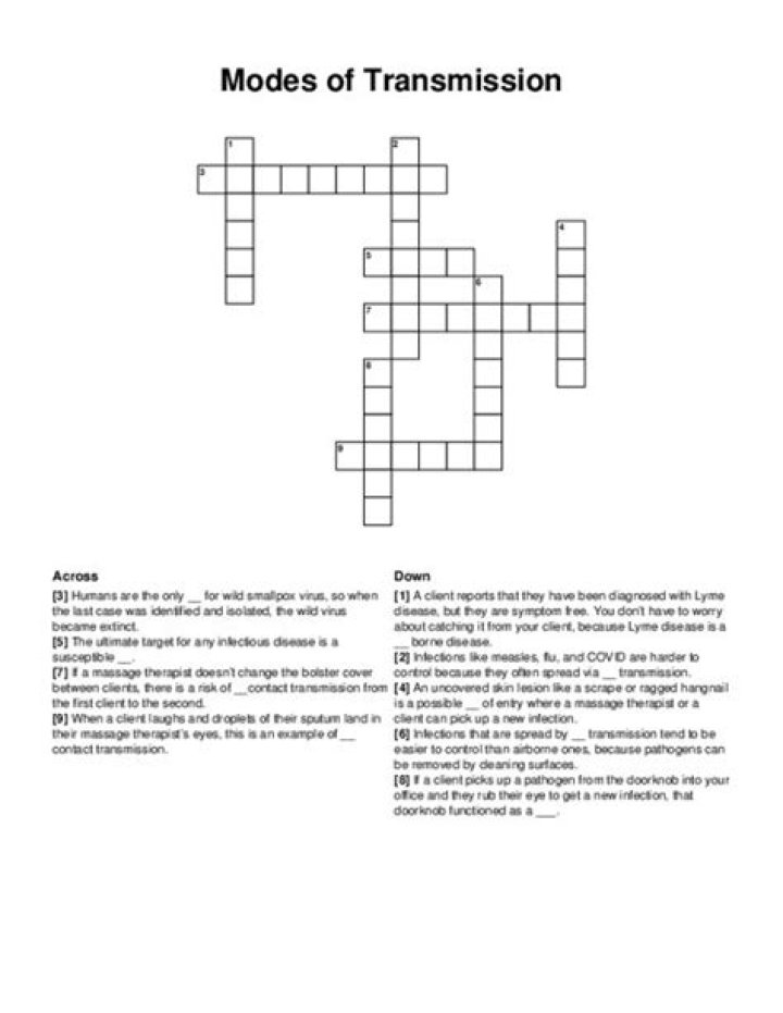 Not-safe-for-work transmission Crossword Clue