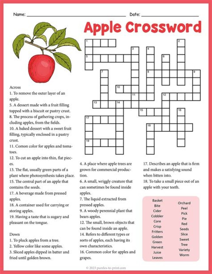 NYT Apple variety Crossword Clue Answers with 4 letters