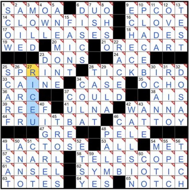 NYT Crossword Answers 05/07/20